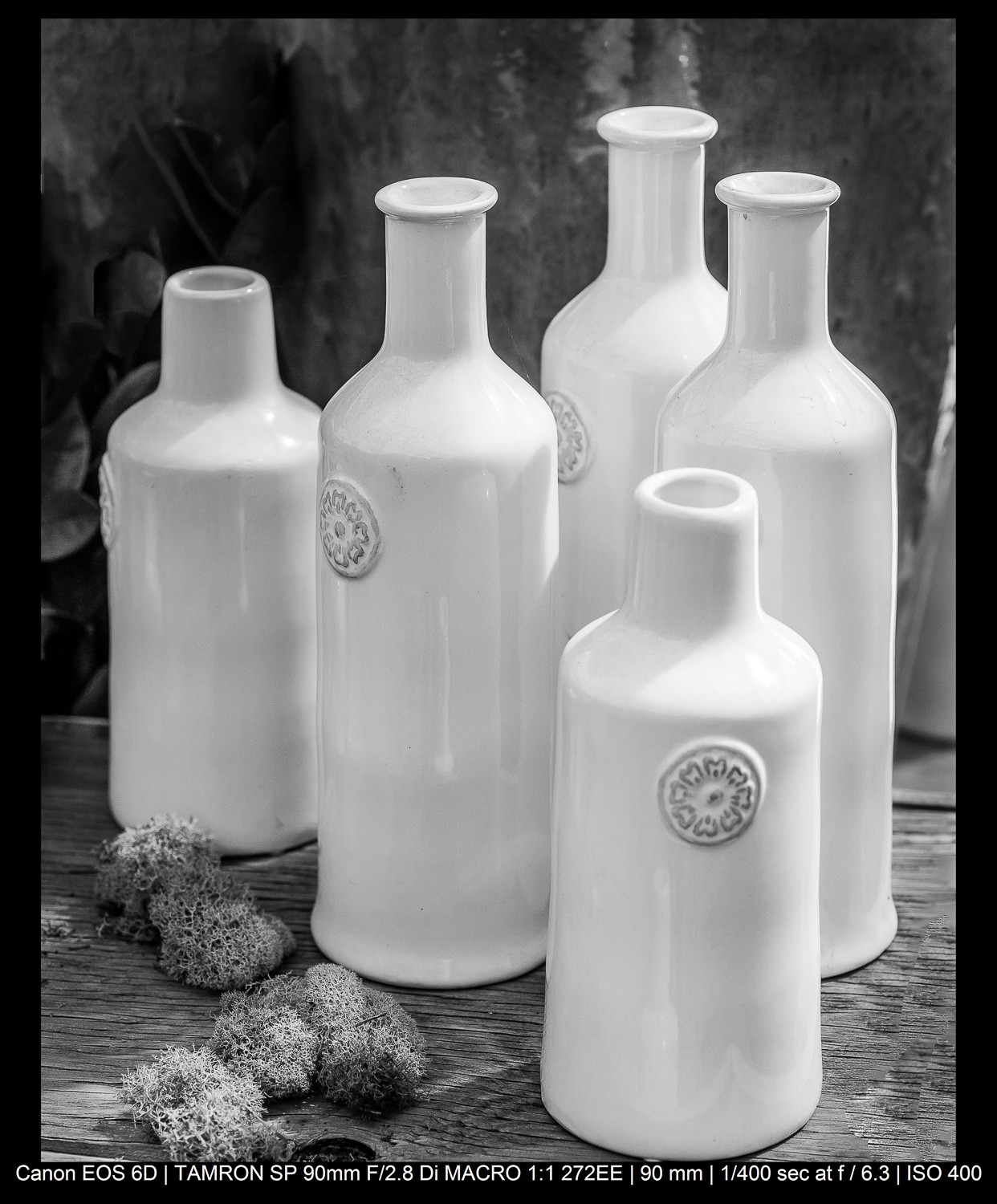 Master the Rule of Odds in Photography: Simple Technique for Stunning Compositions