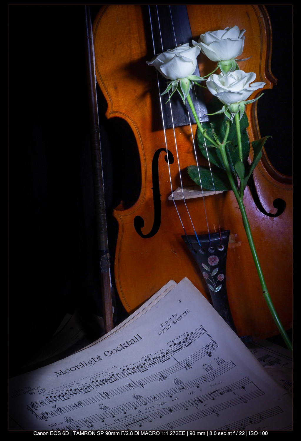 Master the Rule of Odds in Photography: Simple Technique for Stunning Compositions