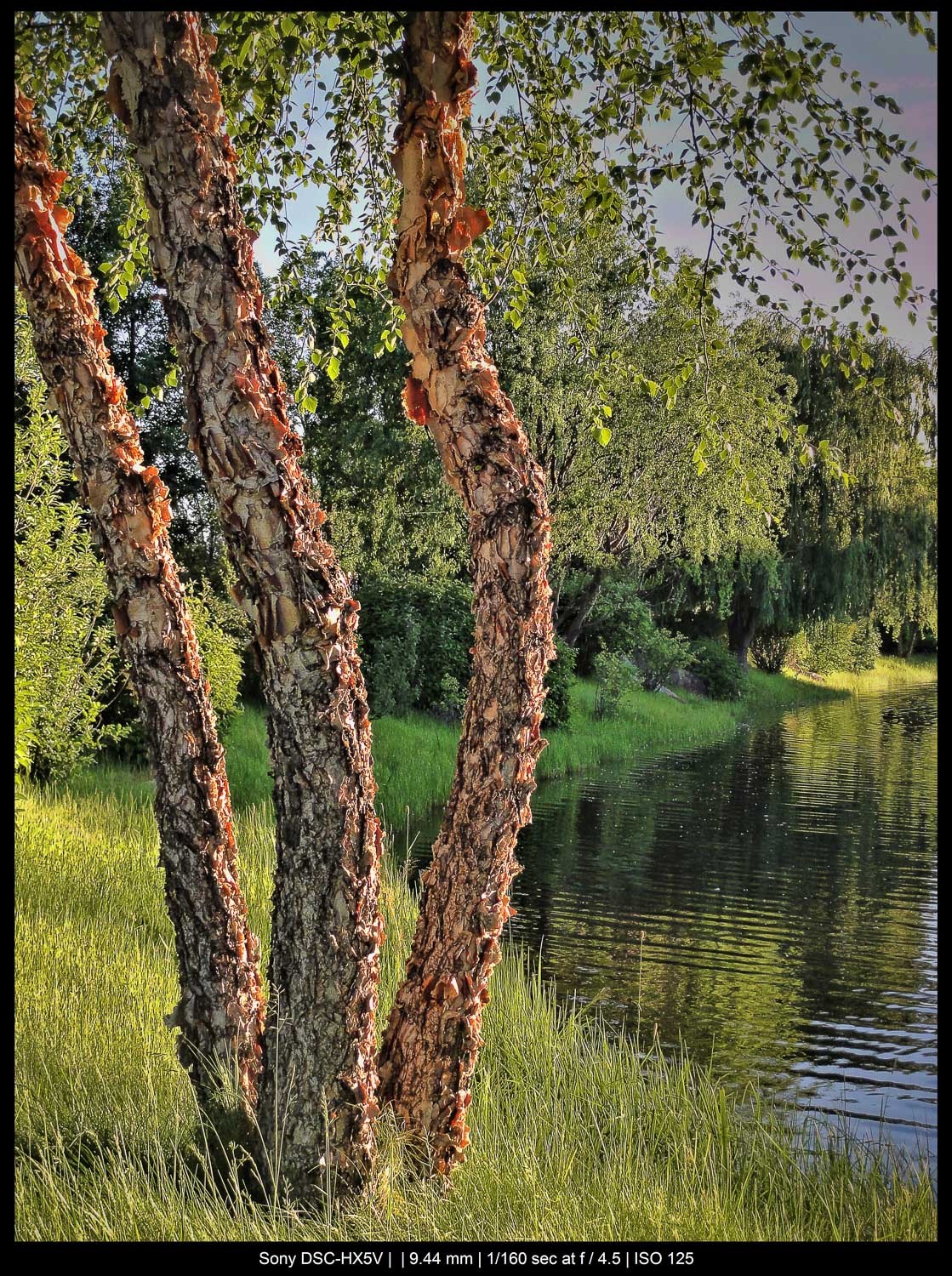 Master the Rule of Odds in Photography: Simple Technique for Stunning Compositions