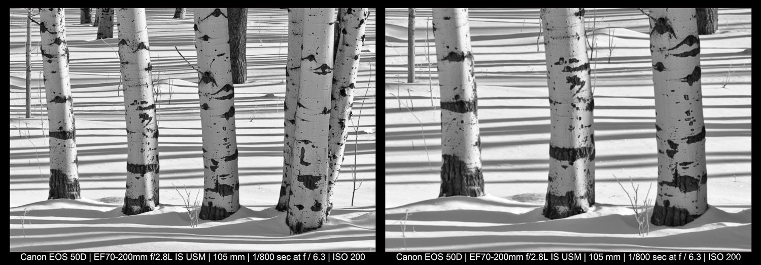 Master the Rule of Odds in Photography: Simple Technique for Stunning Compositions