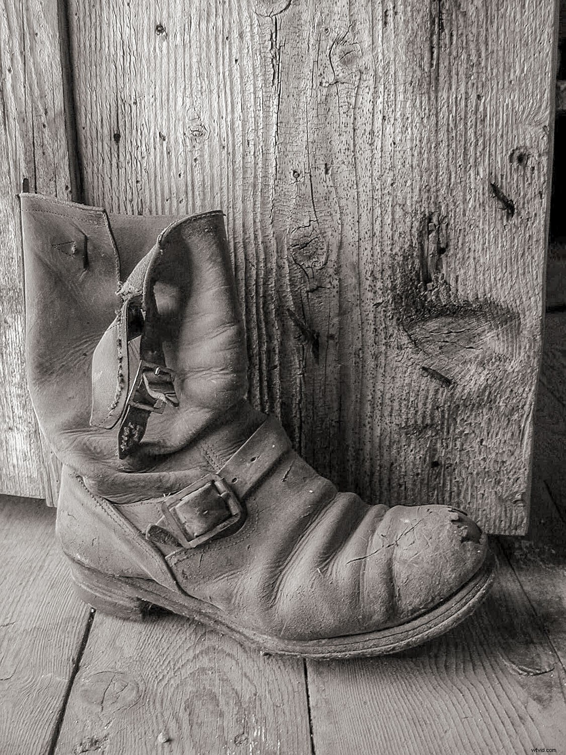 Master Black and White Still Life Photography: Techniques, Tips, and Why It Matters