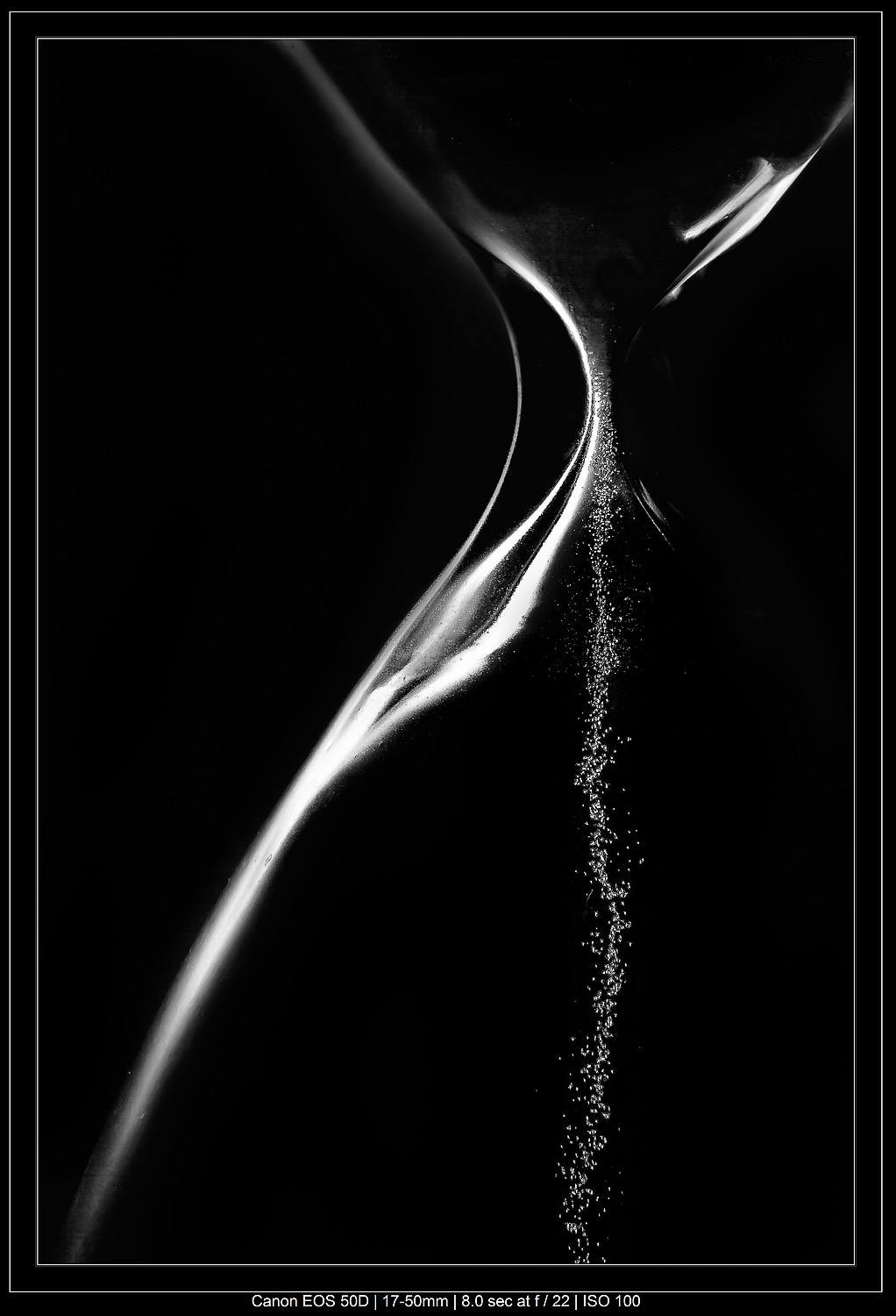 Master Black and White Still Life Photography: Techniques, Tips, and Why It Matters