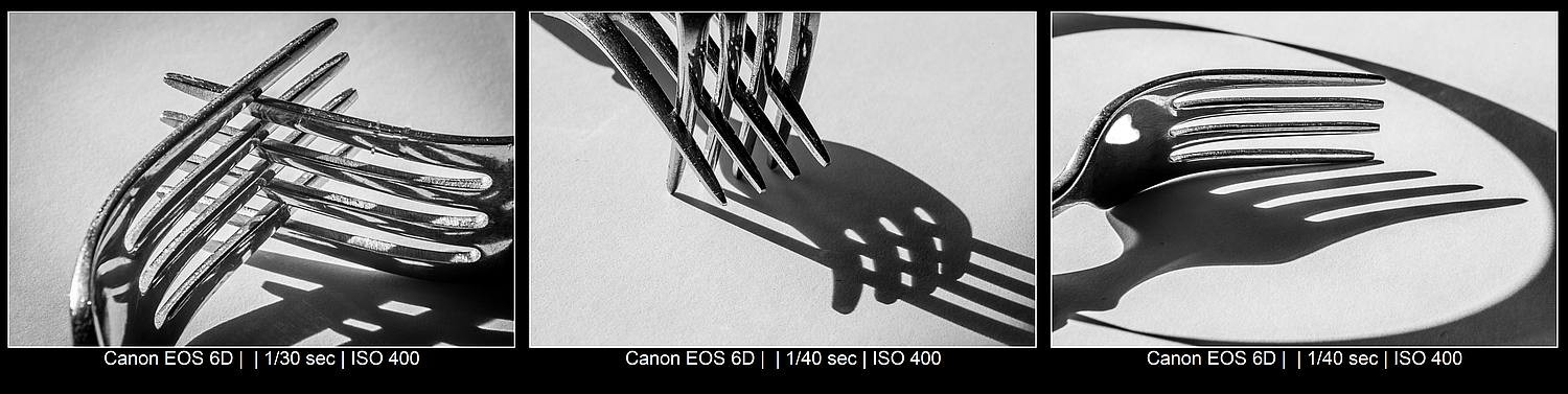 Master Black and White Still Life Photography: Techniques, Tips, and Why It Matters