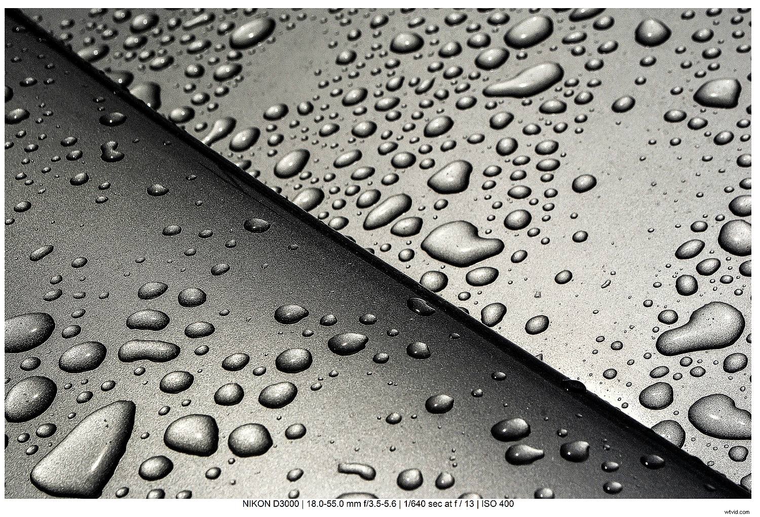 Master Black and White Still Life Photography: Techniques, Tips, and Why It Matters