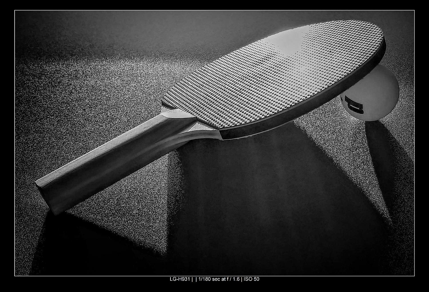 Master Black and White Still Life Photography: Techniques, Tips, and Why It Matters