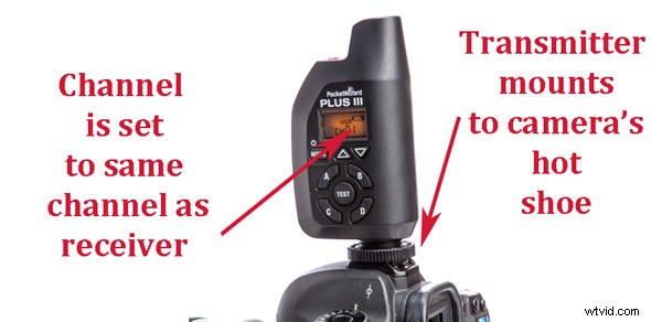 Mastering Off-Camera Flash: A Beginner s Essential Guide