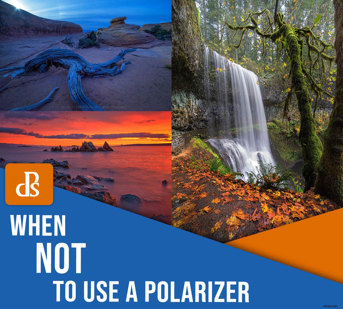 When to Avoid a Polarizing Filter: Essential Photography Tips