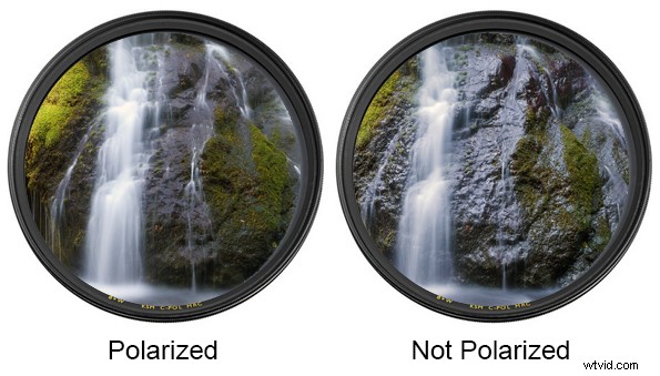 When to Avoid a Polarizing Filter: Essential Photography Tips