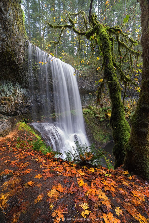When to Avoid a Polarizing Filter: Essential Photography Tips