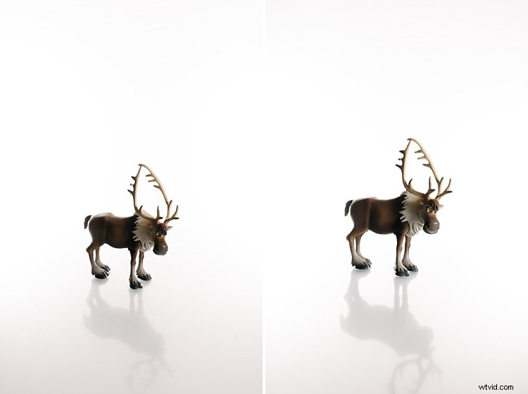 3 Common Rookie Mistakes to Avoid for Flawless White Background Photography