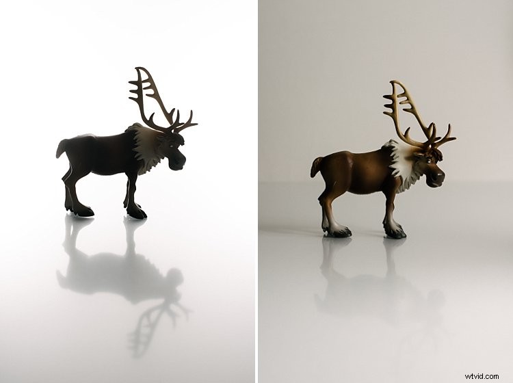 3 Common Rookie Mistakes to Avoid for Flawless White Background Photography