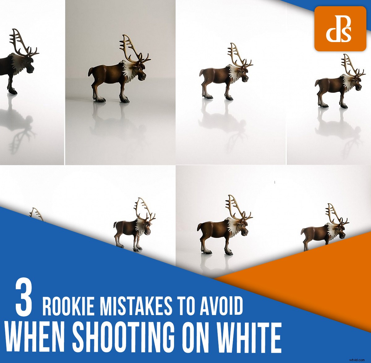 3 Common Rookie Mistakes to Avoid for Flawless White Background Photography
