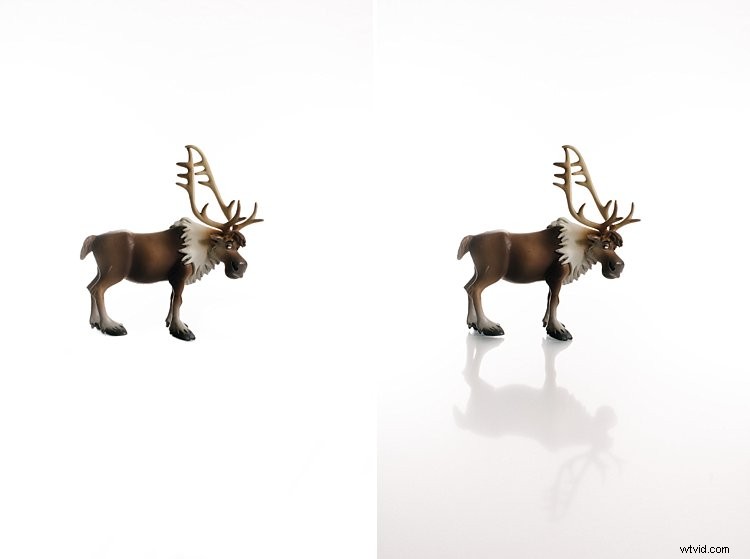 3 Common Rookie Mistakes to Avoid for Flawless White Background Photography