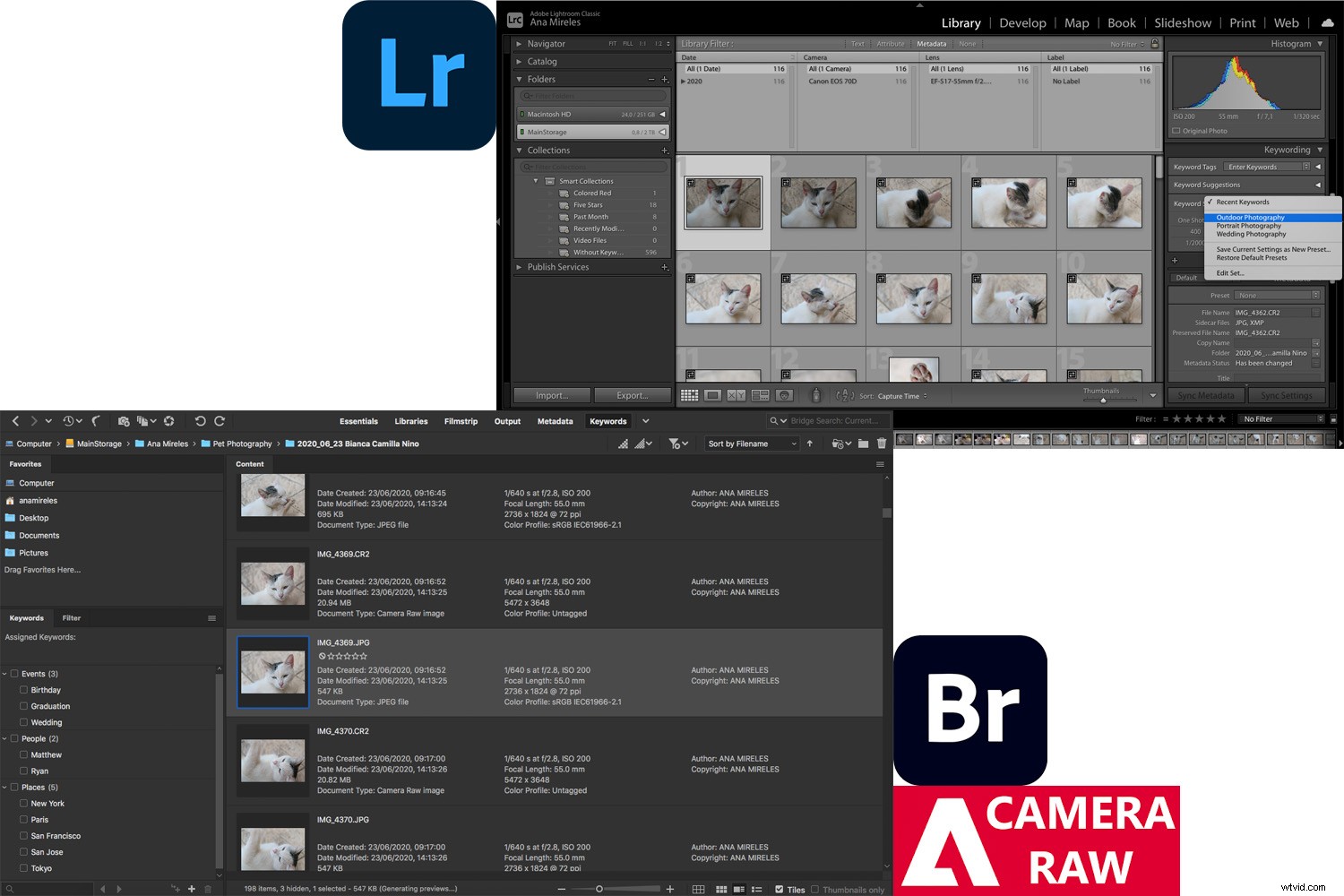 Adobe Camera Raw vs Lightroom: Ultimate Comparison & Best Choice for 2024