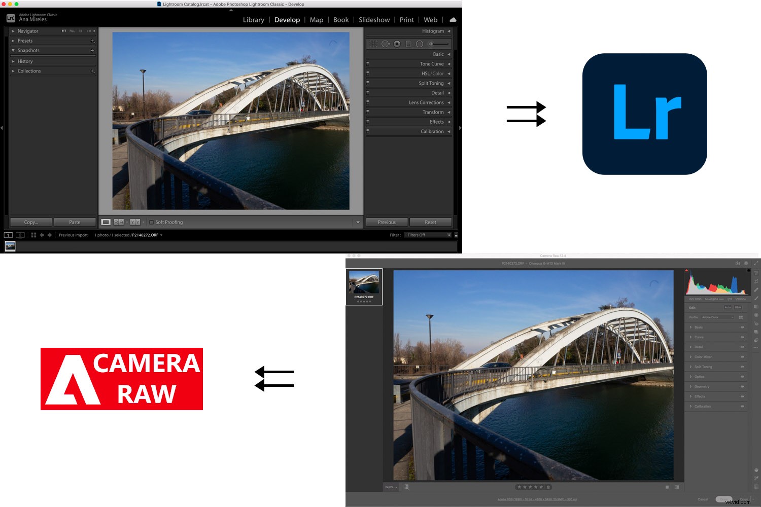 Adobe Camera Raw vs Lightroom: Ultimate Comparison & Best Choice for 2024