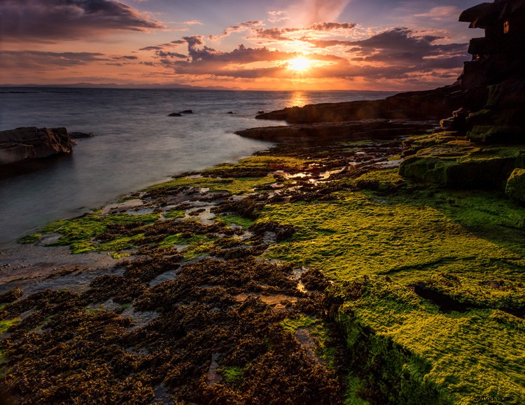 6 Expert Tips for Perfect Focus in Landscape Photography