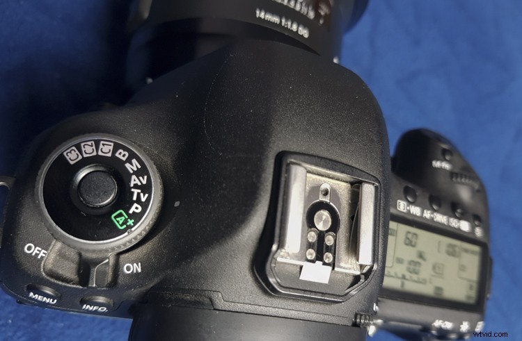 Master Panning Photography: 6 Proven Tips for Sharp Motion Shots