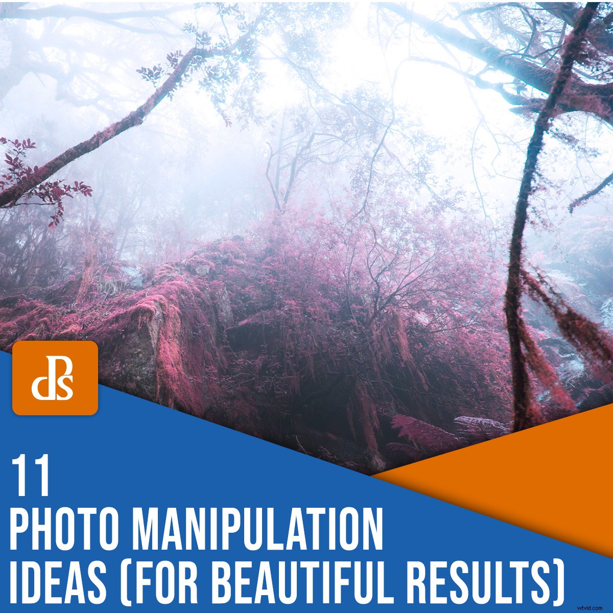 11 Stunning Photo Manipulation Ideas for Jaw-Dropping Results