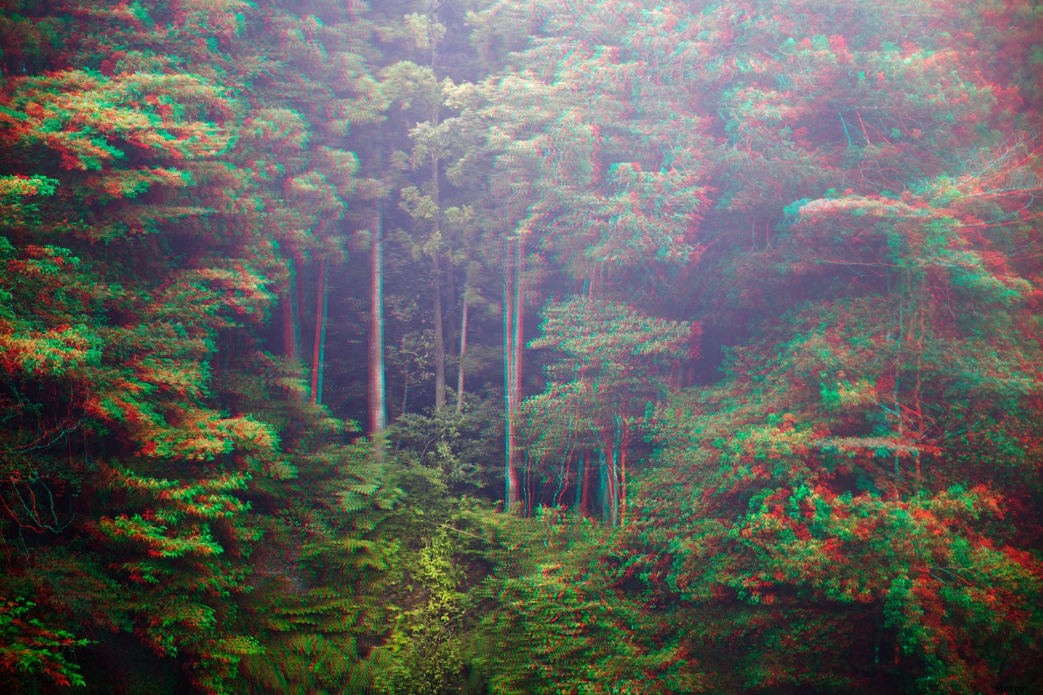 11 Stunning Photo Manipulation Ideas for Jaw-Dropping Results