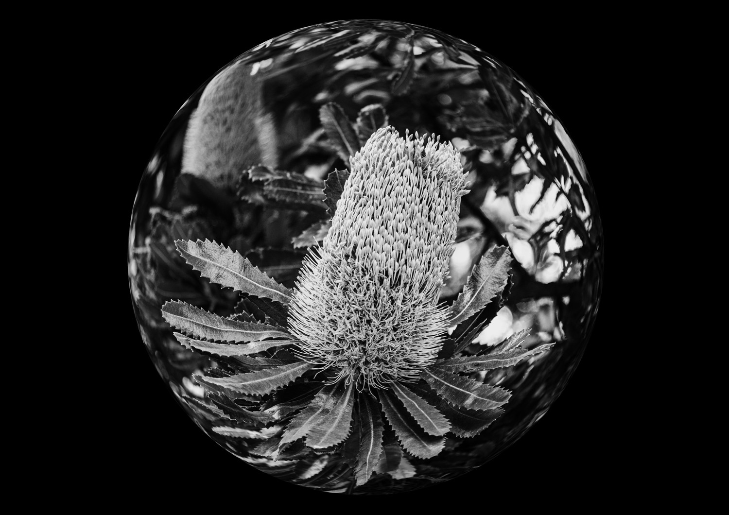 11 Stunning Photo Manipulation Ideas for Jaw-Dropping Results