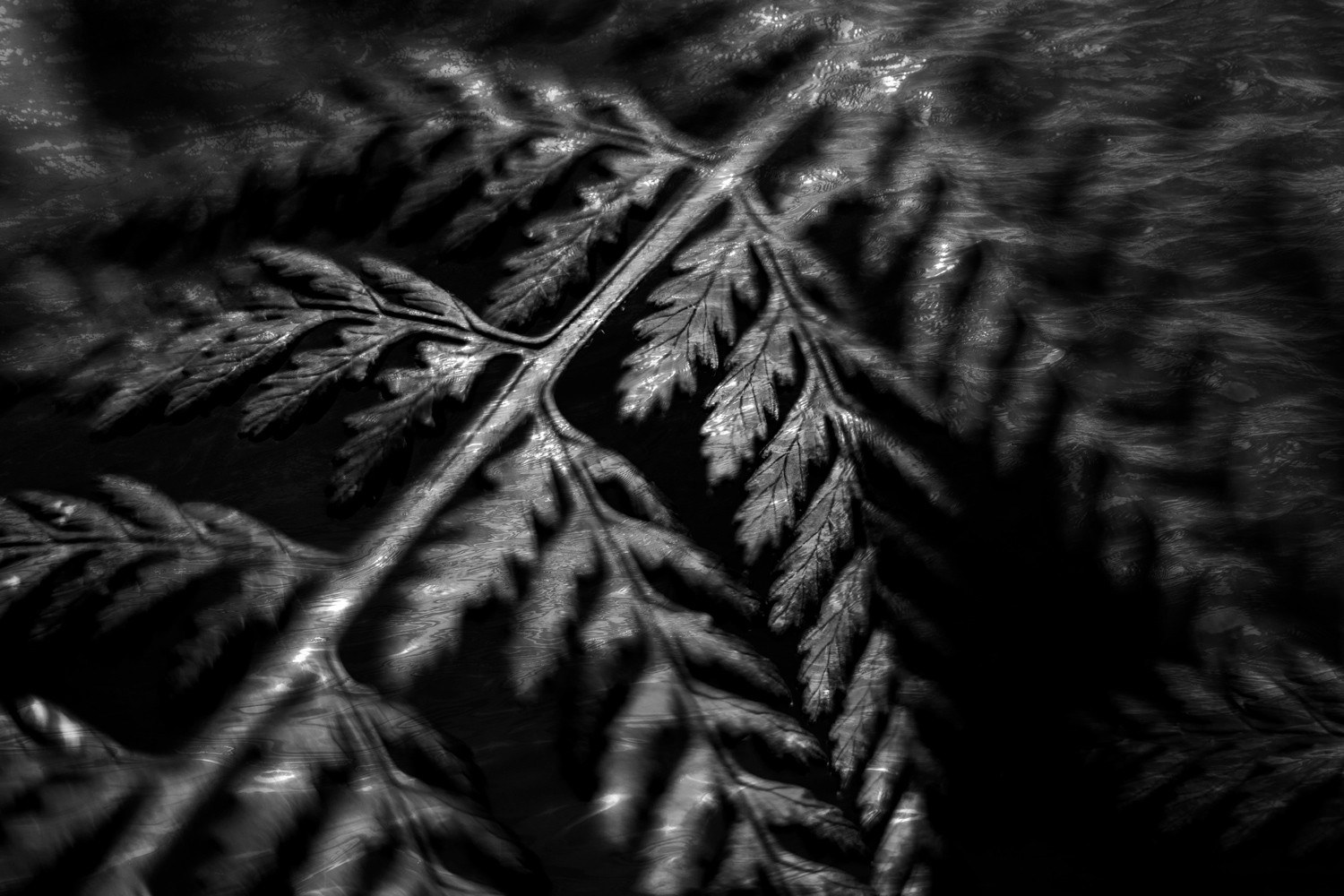 11 Stunning Photo Manipulation Ideas for Jaw-Dropping Results