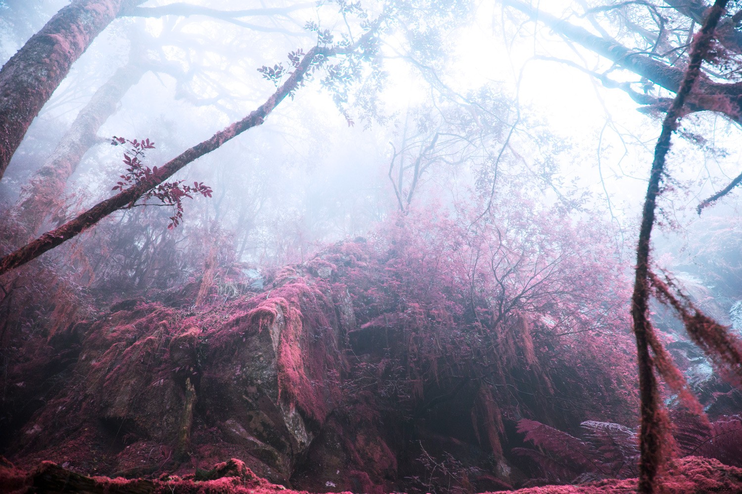 11 Stunning Photo Manipulation Ideas for Jaw-Dropping Results