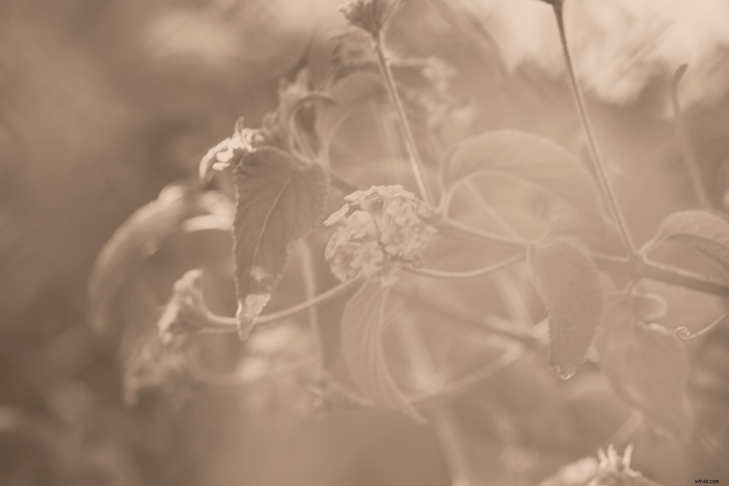 11 Stunning Photo Manipulation Ideas for Jaw-Dropping Results