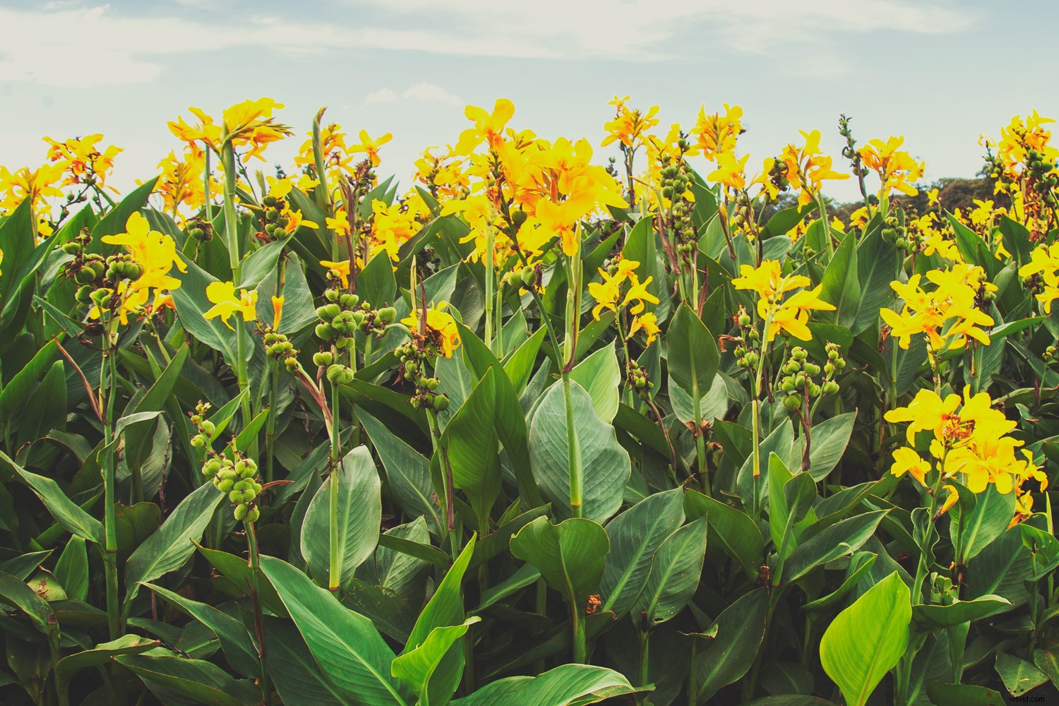 11 Stunning Photo Manipulation Ideas for Jaw-Dropping Results