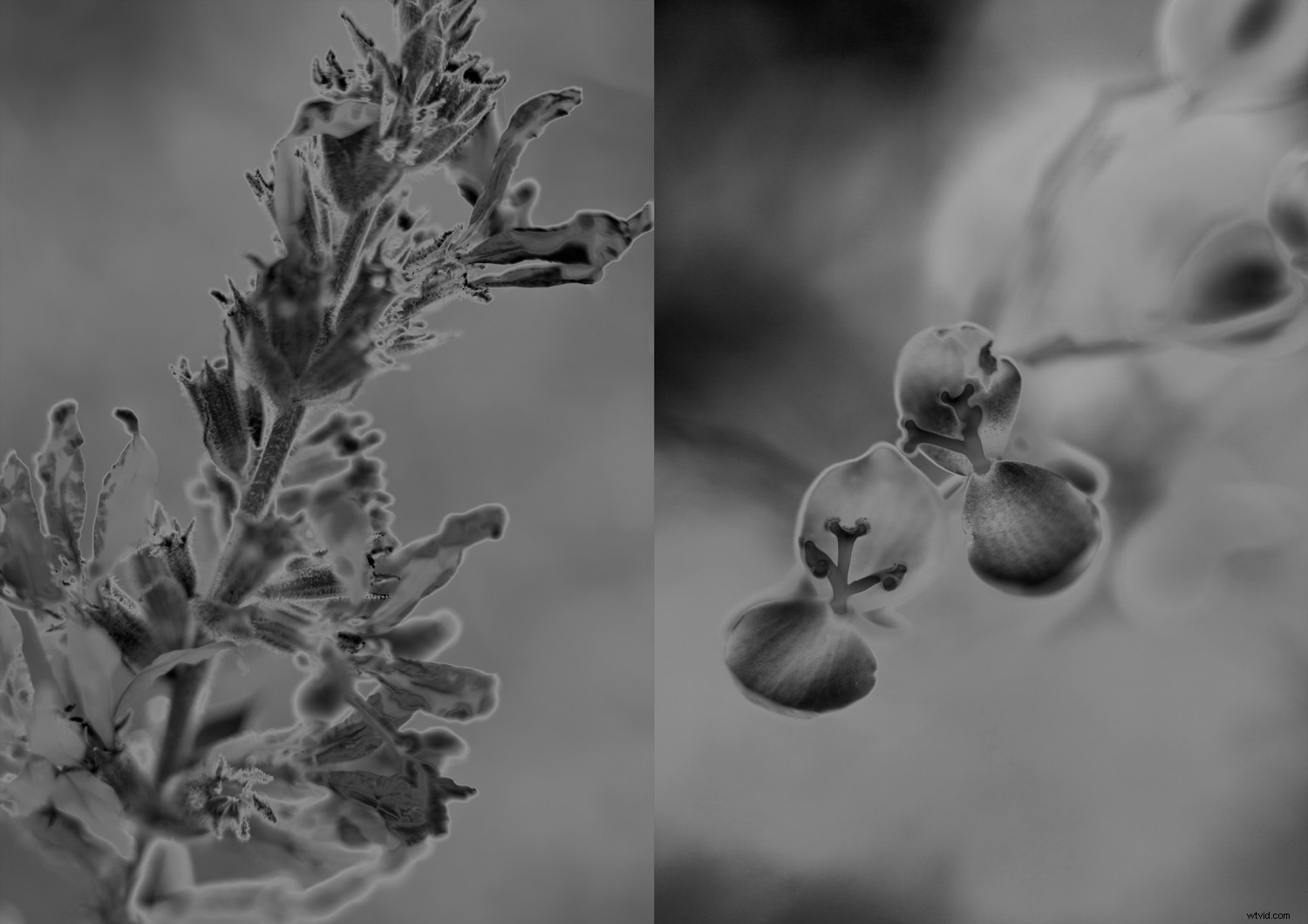 11 Stunning Photo Manipulation Ideas for Jaw-Dropping Results