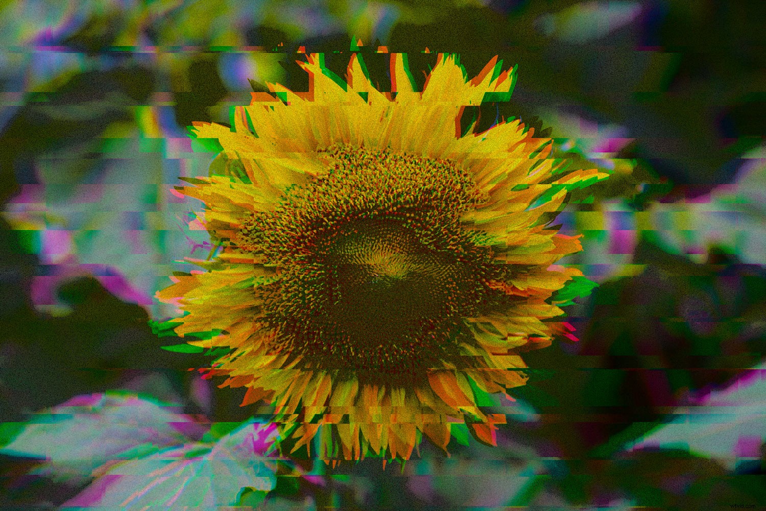 11 Stunning Photo Manipulation Ideas for Jaw-Dropping Results