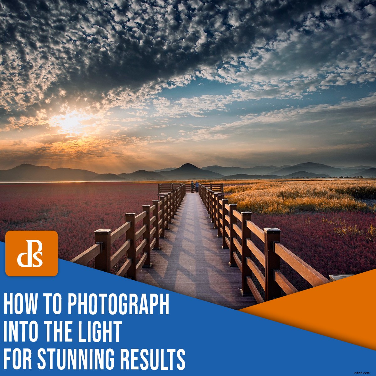 Master Backlight Photography: Pro Techniques for Stunning Contre-Jour Shots