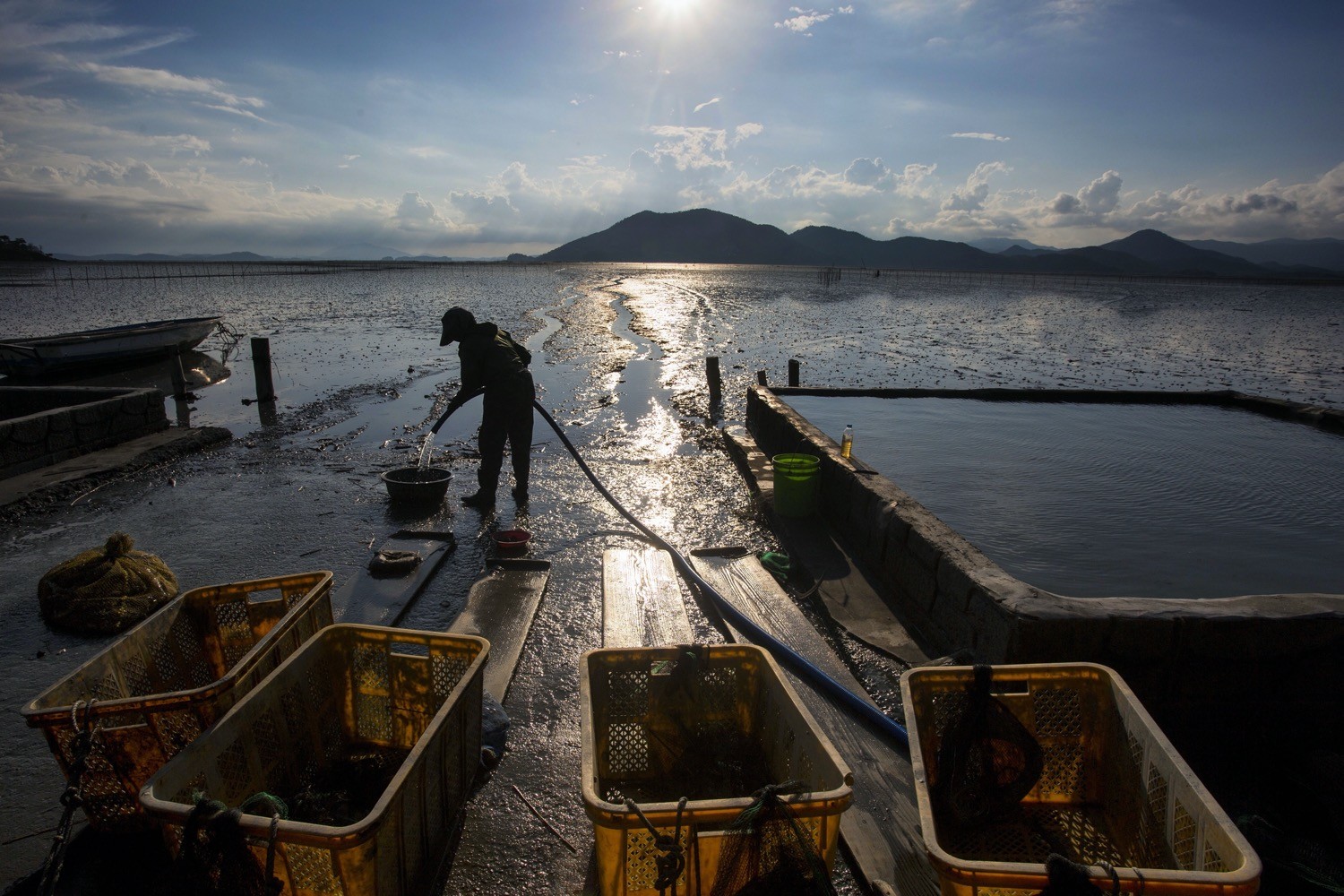 Master Backlight Photography: Pro Techniques for Stunning Contre-Jour Shots