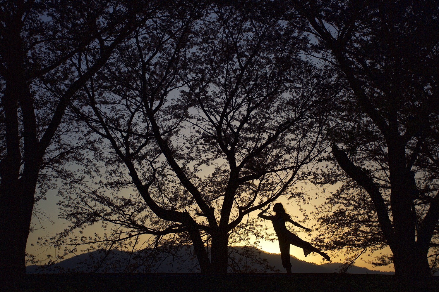 Master Backlight Photography: Pro Techniques for Stunning Contre-Jour Shots