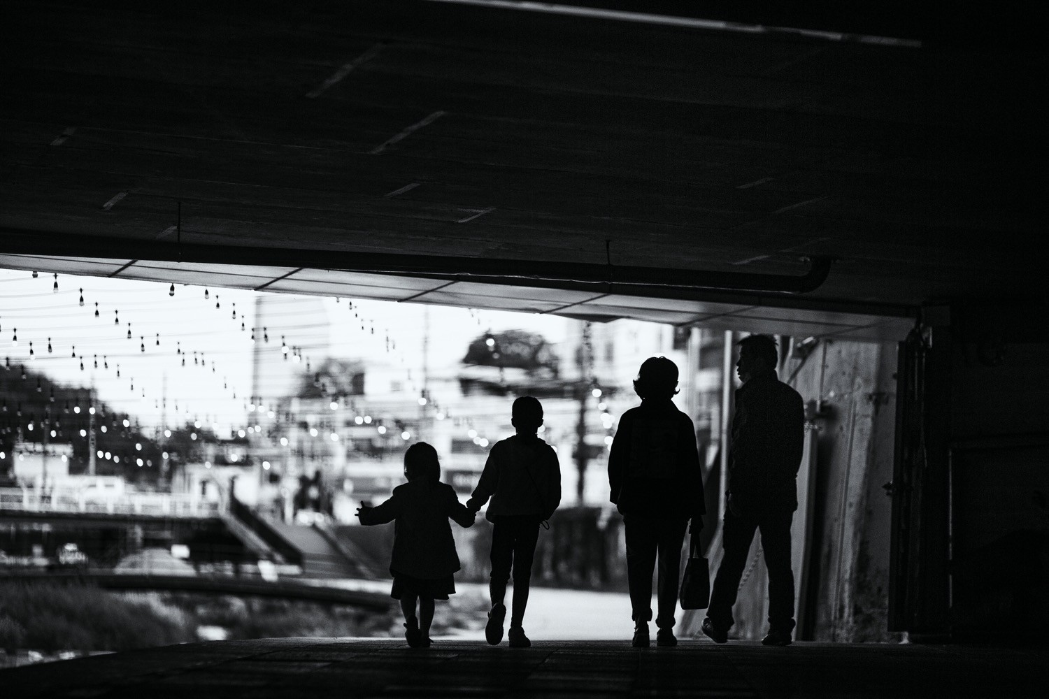 Master Backlight Photography: Pro Techniques for Stunning Contre-Jour Shots