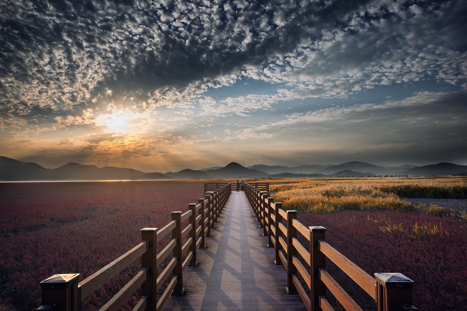 Master Backlight Photography: Pro Techniques for Stunning Contre-Jour Shots