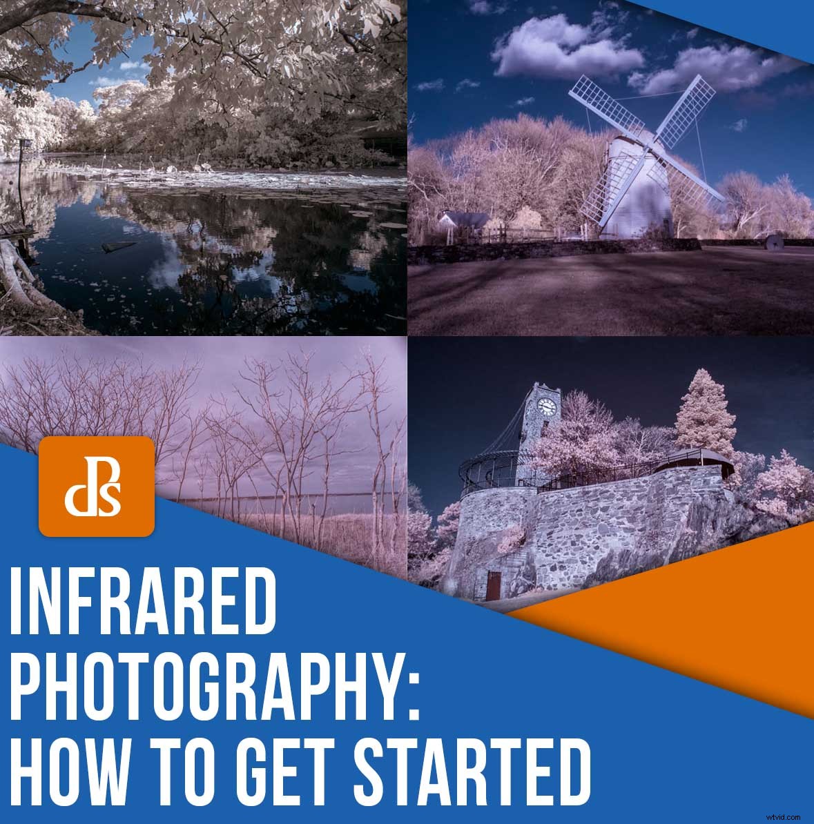 Infrared Photography for Beginners: Step-by-Step Guide to Stunning Results
