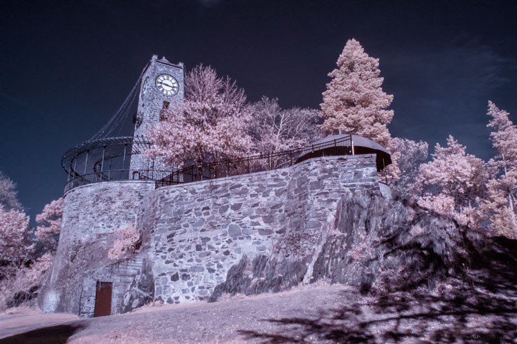 Infrared Photography for Beginners: Step-by-Step Guide to Stunning Results