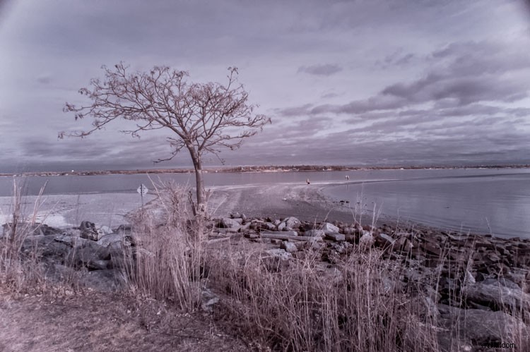 Infrared Photography for Beginners: Step-by-Step Guide to Stunning Results