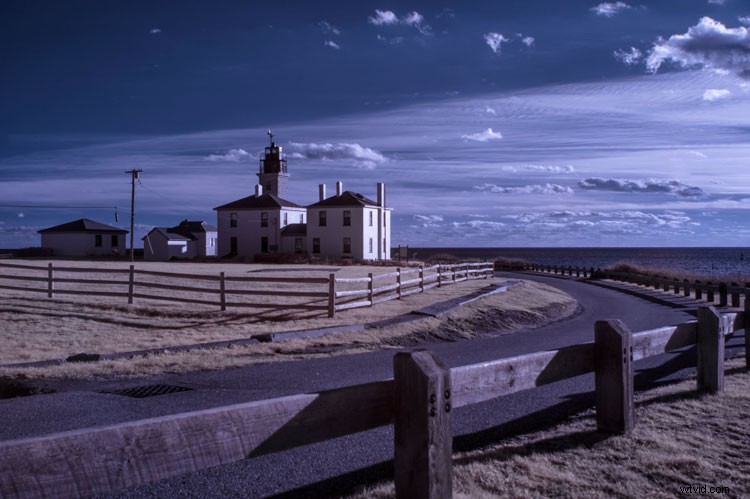 Infrared Photography for Beginners: Step-by-Step Guide to Stunning Results