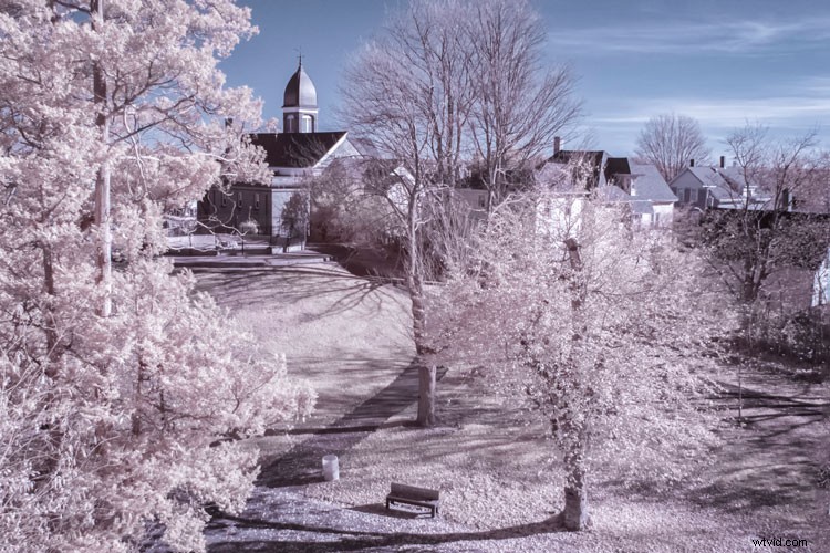 Infrared Photography for Beginners: Step-by-Step Guide to Stunning Results