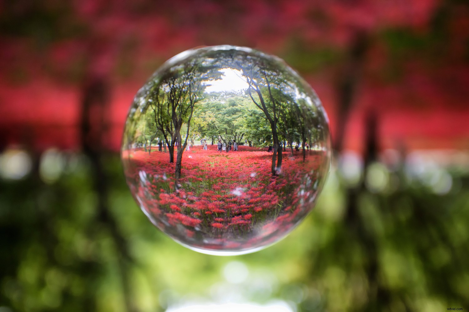 Top 10 Must-Have Creative Photography Accessories and Tools for Stunning Shots