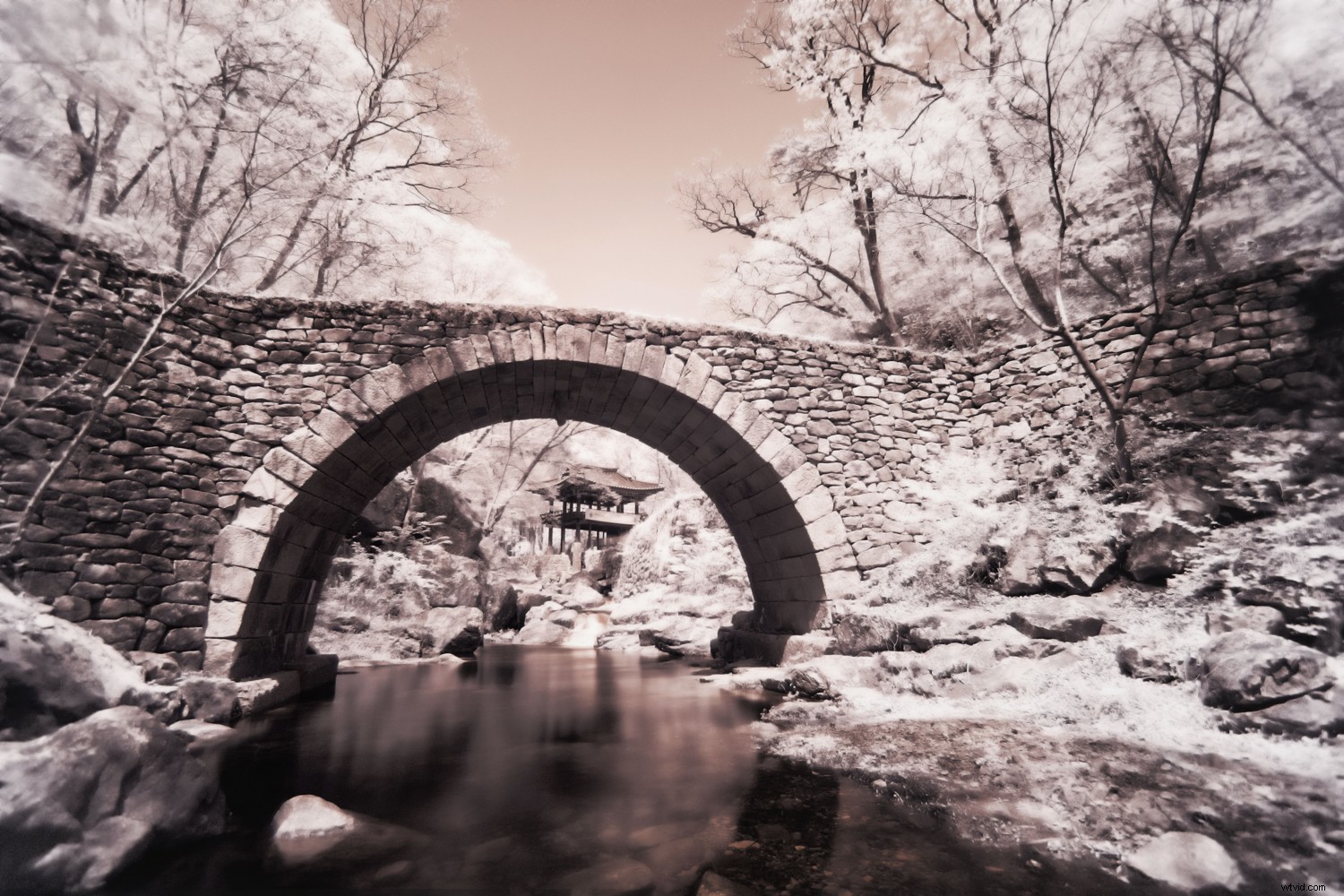 Top 10 Must-Have Creative Photography Accessories and Tools for Stunning Shots