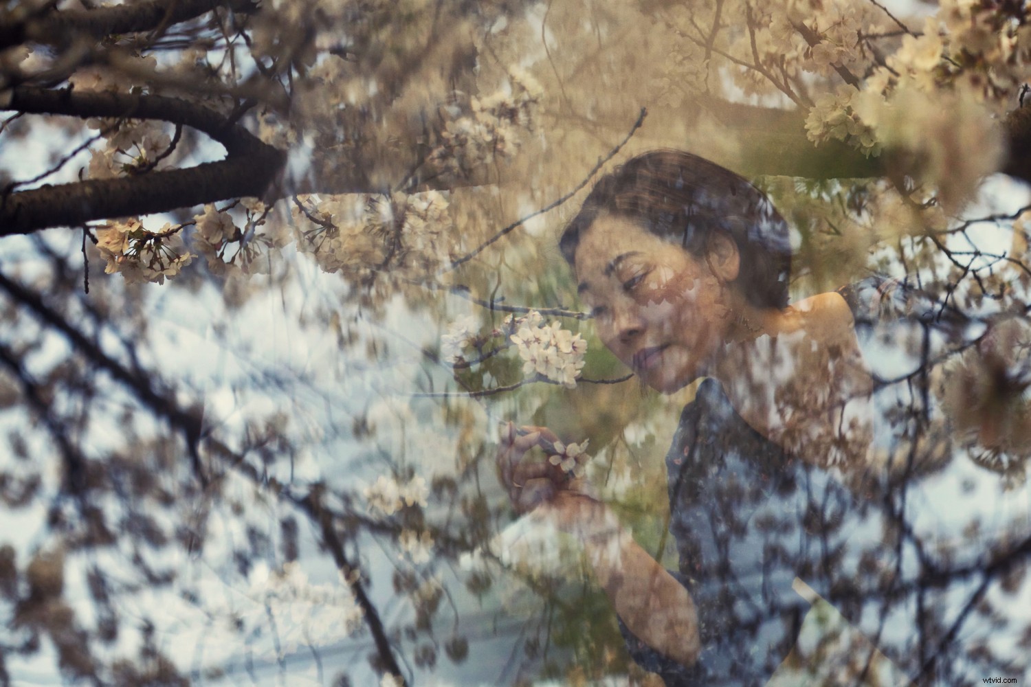 Top 10 Must-Have Creative Photography Accessories and Tools for Stunning Shots