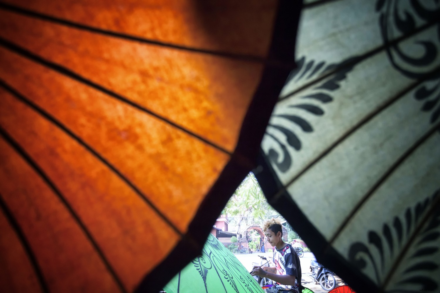 Top 10 Must-Have Creative Photography Accessories and Tools for Stunning Shots