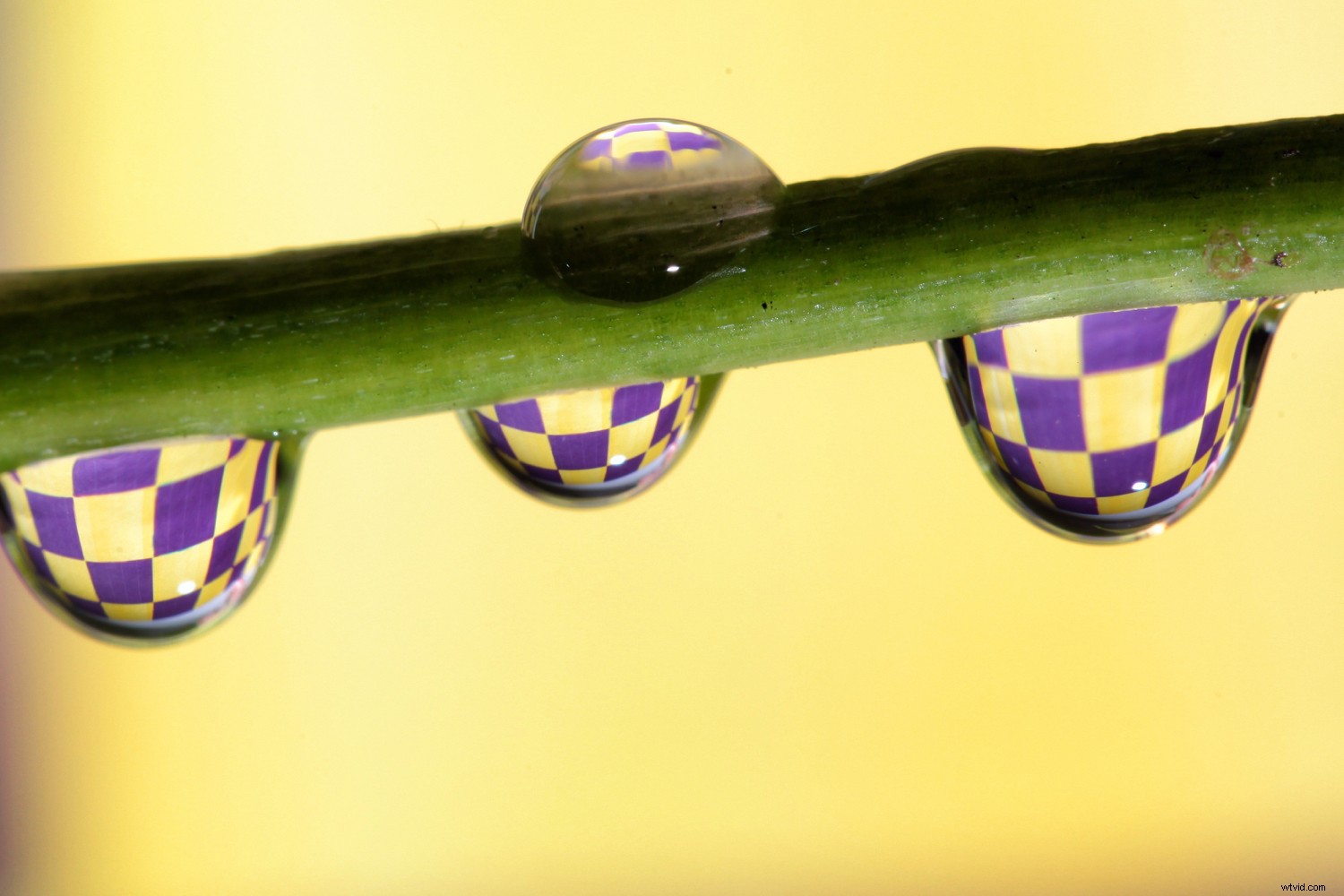 Top 10 Must-Have Creative Photography Accessories and Tools for Stunning Shots