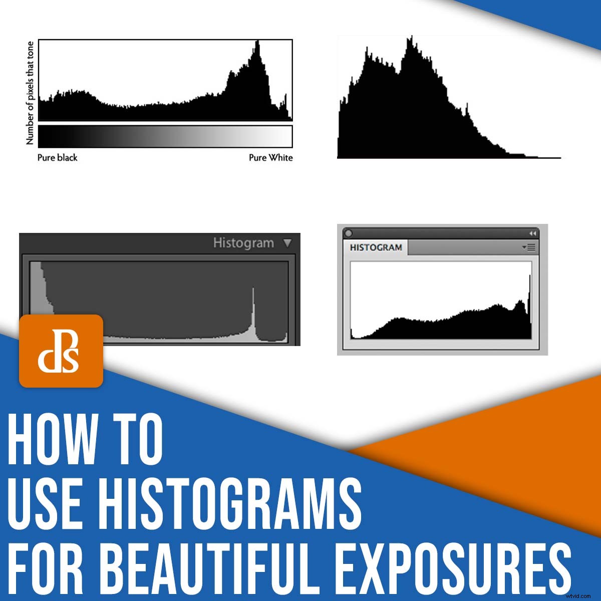 Master Camera Histograms: Read and Use Them for Perfect Exposures