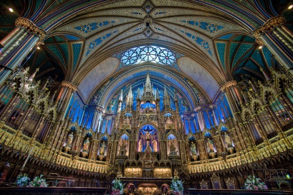 Master Camera Histograms: Read and Use Them for Perfect Exposures