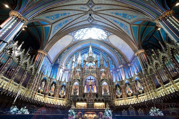 Master Camera Histograms: Read and Use Them for Perfect Exposures