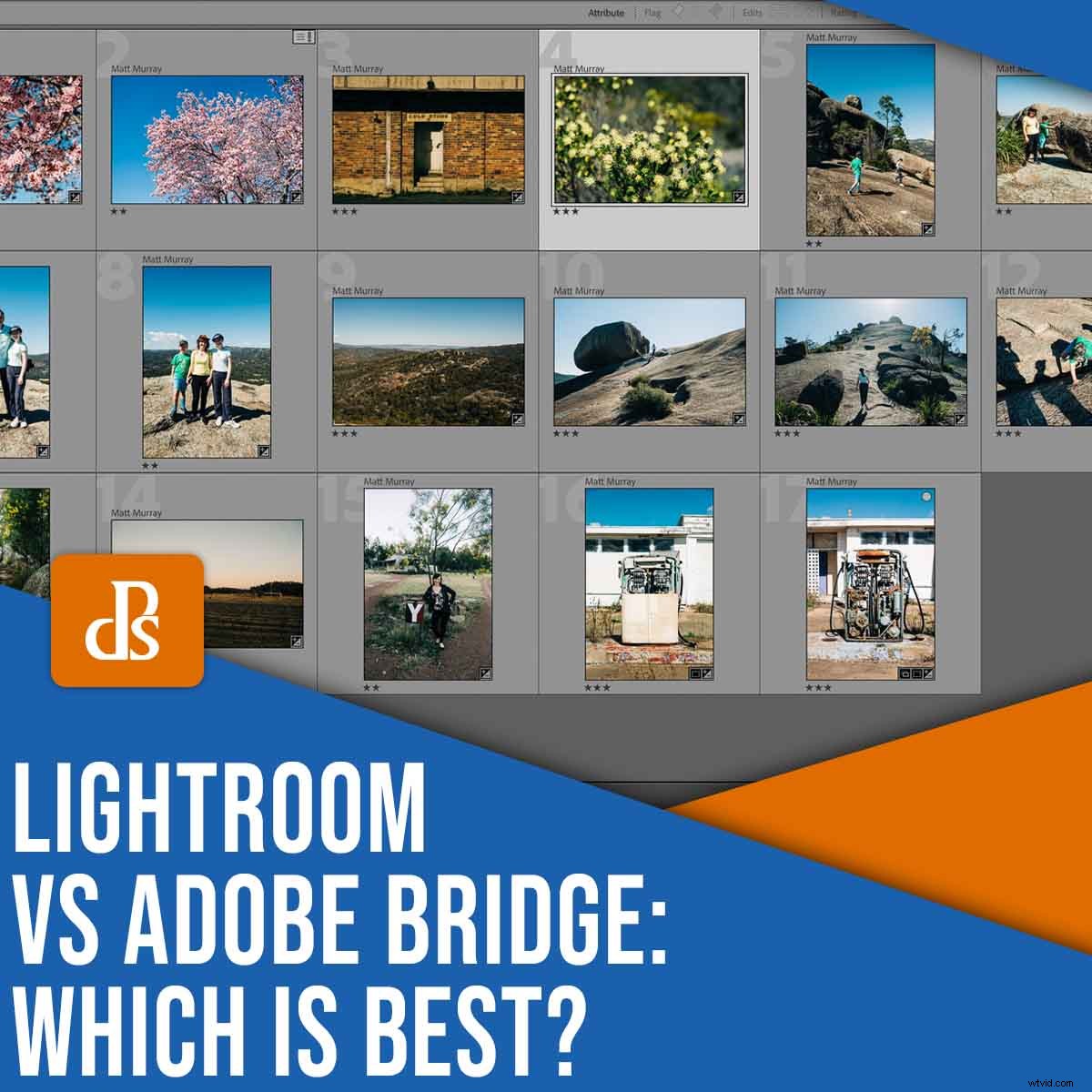 Lightroom Classic vs. Adobe Bridge: Which is Best for Your Workflow in 2024?