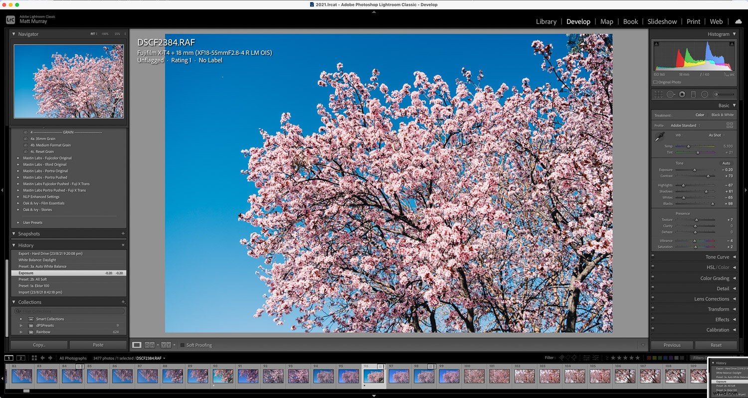Lightroom Classic vs. Adobe Bridge: Which is Best for Your Workflow in 2024?